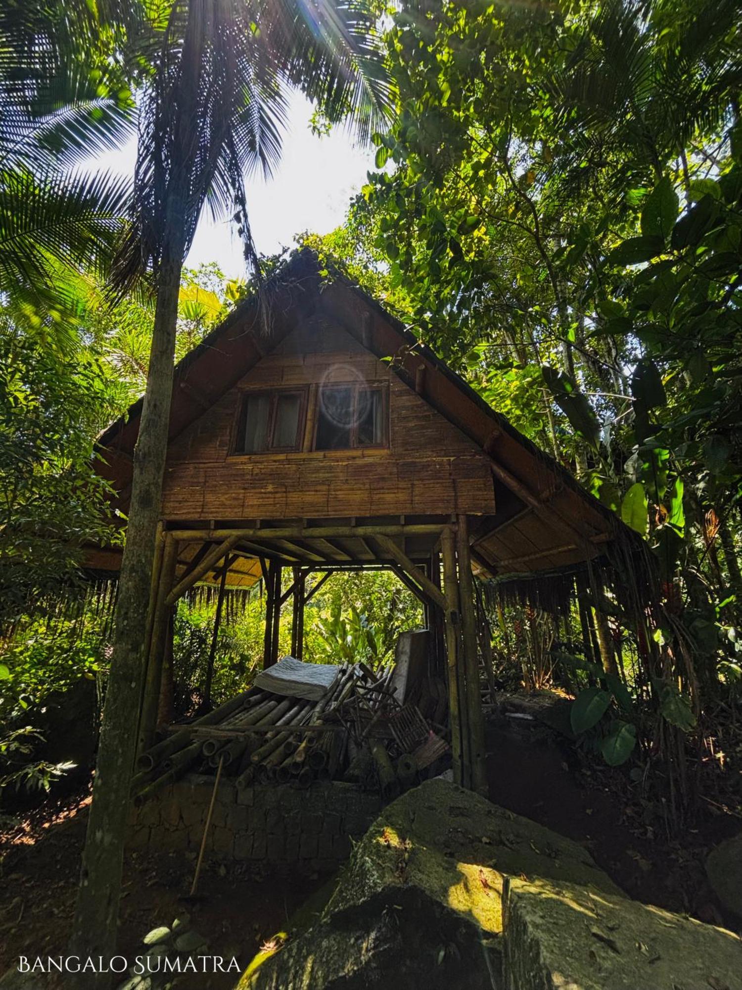 Sitio Simple Life Bed & Breakfast Ubatuba Exterior photo