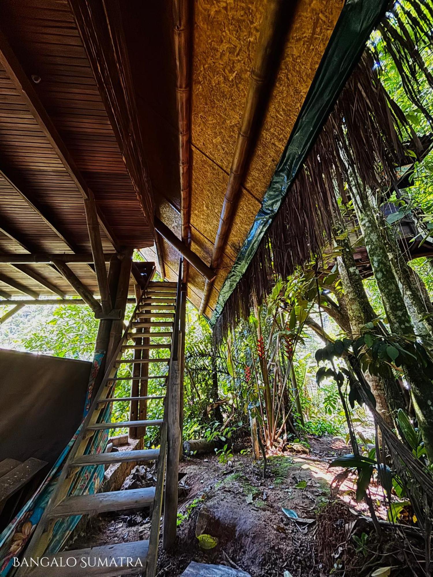 Sitio Simple Life Bed & Breakfast Ubatuba Exterior photo